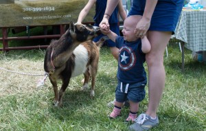 20150607-20150607-DSC_8009