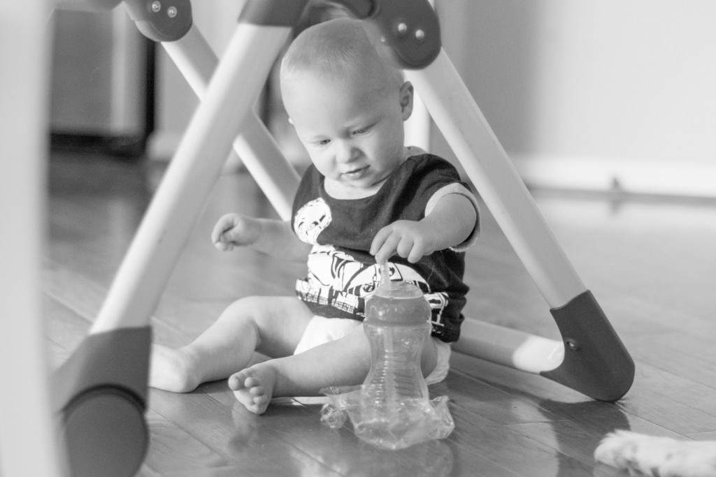 LP is really into playing under things lately. The bad part: he hits his head and then gets REALLY mad.