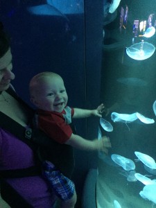 Liam loved seeing the fish today!
